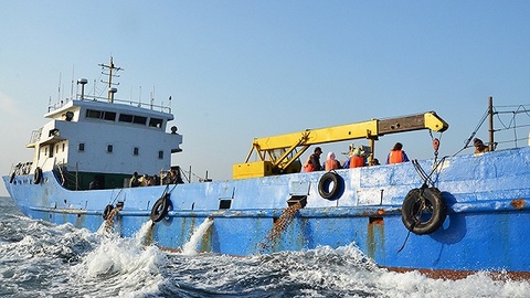 扇贝们又受灾了，扭亏后獐子岛一季度业绩再度陷入亏损