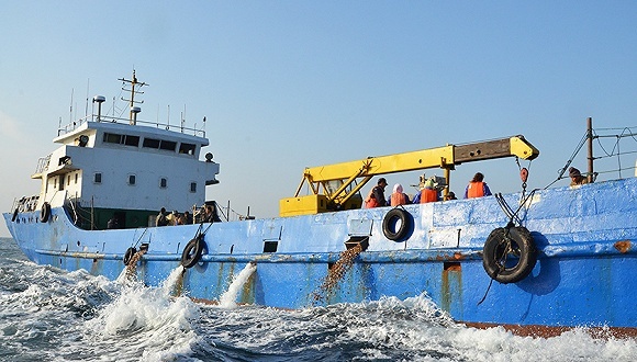 獐子岛,扇贝,亏损