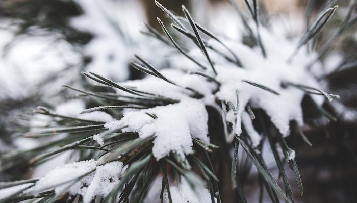 上海,气象灾害预警信号,调整,删除,干旱,沙尘暴,臭氧,低温预警