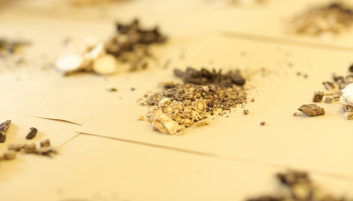 “青蒿素抗药性”如何应对？屠呦呦等提出合理方案