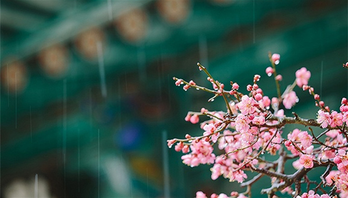 南方降水,降水分布,西北地区东部,大暴雨,强对流天气,强降水,浮尘天气,强降雨,北方地区,云南东南部