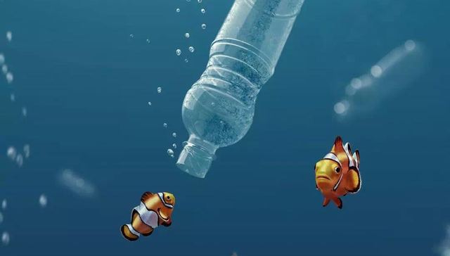 海洋公益怎么做？LA MER联手腾讯QQ做了一次有温度的尝试