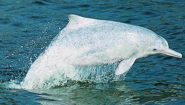 生态美了 旅游旺了（壮丽70年 奋斗新时代·推动高质量发展调研行）