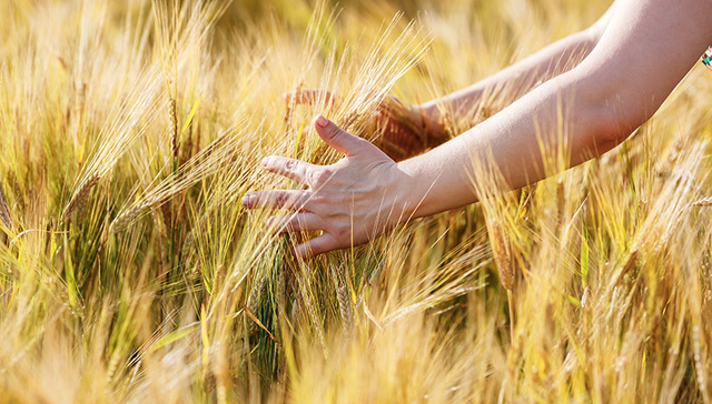 周夷,电煤供应,五一,火场,岗位,劳动者,引导,世园会,露天煤矿,顺丰
