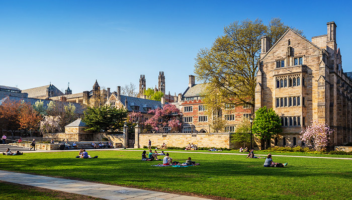 招生舞弊,美国名校,常春藤大学