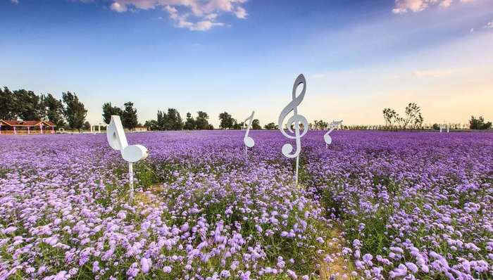 德国富豪的私密生活