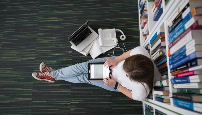 网络文学,广告联盟,笔趣阁,打地鼠,用马甲做盗版,挂羊头卖狗肉,重灾区,网盘,权利人,网络侵权