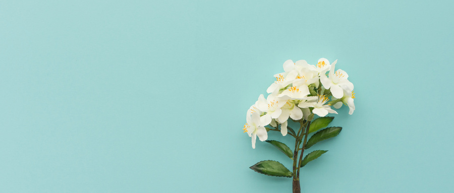 众生药业,实控人