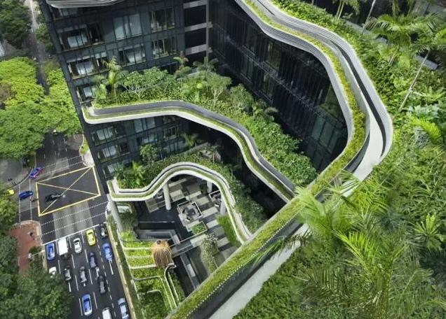 环保加节能，新加坡尝试在城市公交车顶种草