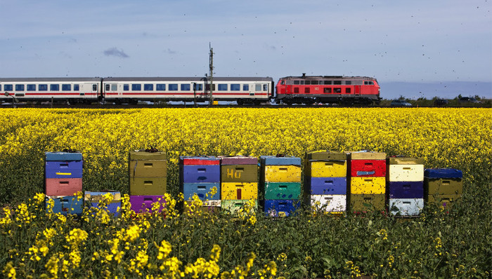 签署多份协议发掘新机遇 中欧经贸合作再升温