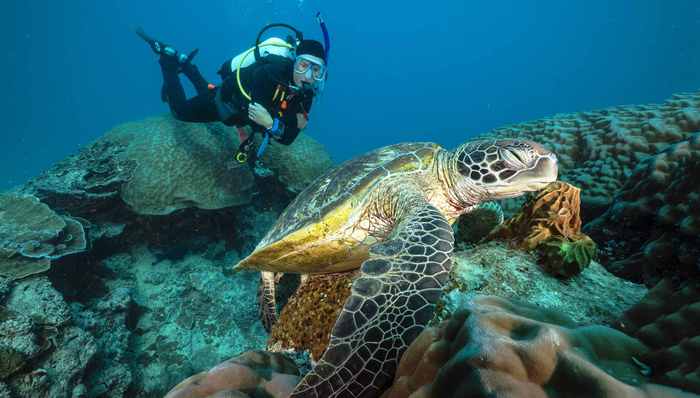 生态保护,天下故事