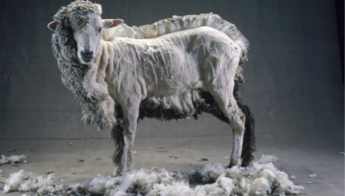 羊毛,单门课程,互联网公司,平台,验证码,卡商,车主,手机卡,第一财经,Uber