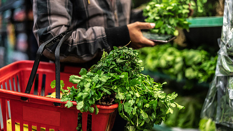 【深度】当年轻人不再出门买菜，互联网菜场的好日子来了