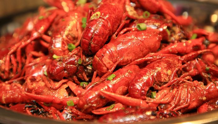 养殖户赔钱商户“不愿卖”，小龙虾批发价大跳水