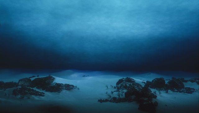 美国探险家打破马里亚纳海沟深潜纪录：除了新物种，还发现了糖纸和塑料袋