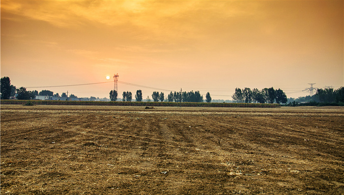 成都那些“高价地”，现在怎么样了？