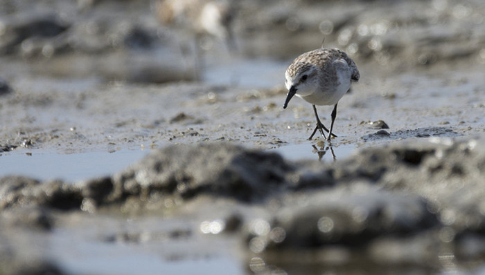 凌海市,馨港,围海,海洋牧场,项目可研报告,违法问题,填海工程,项目建设,围堰,旅游地产