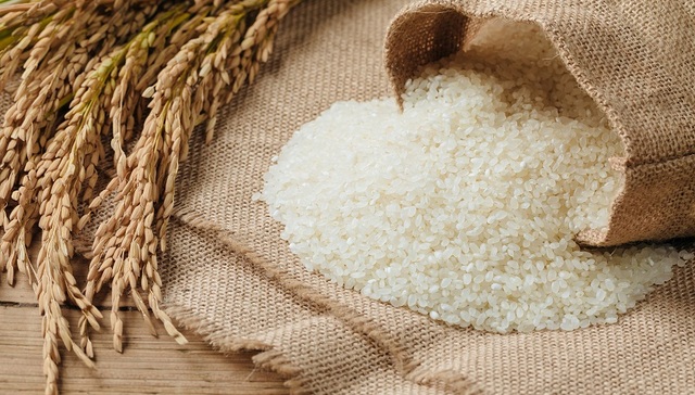 金健米业,大涨,炒作