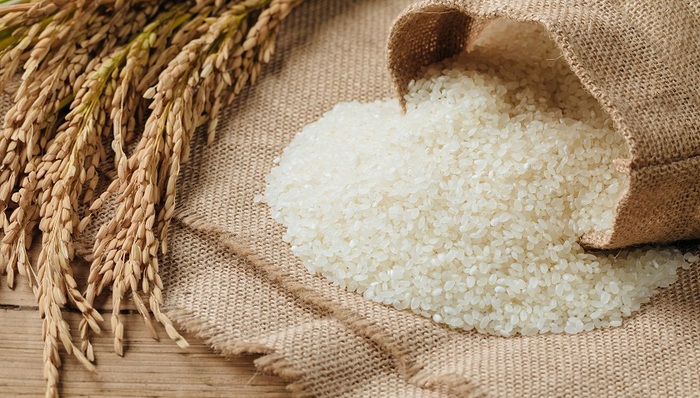 金健米业,大涨,炒作