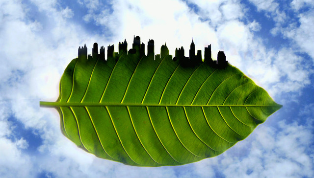 腾讯,可持续发展,阿里巴巴,京东,可口可乐,企业社会责任,CSR,宜家