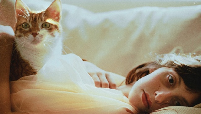 【读药】猫咪当道，人类失宠：那些可爱的人都去哪了？