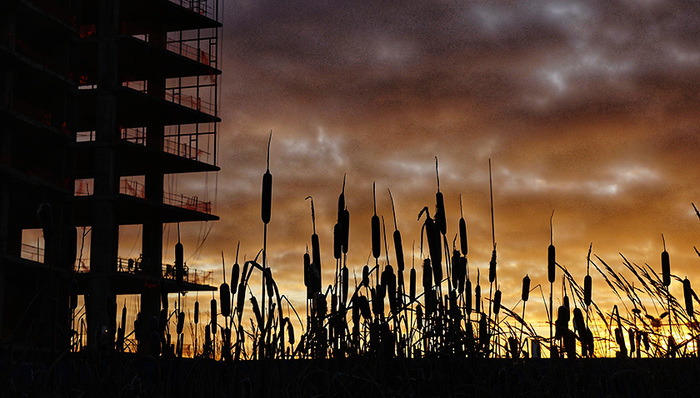 益丰,别墅项目,项目用地,别墅群,汉中盆地,变形记,颐养,中国房地产报,项目规划,山地