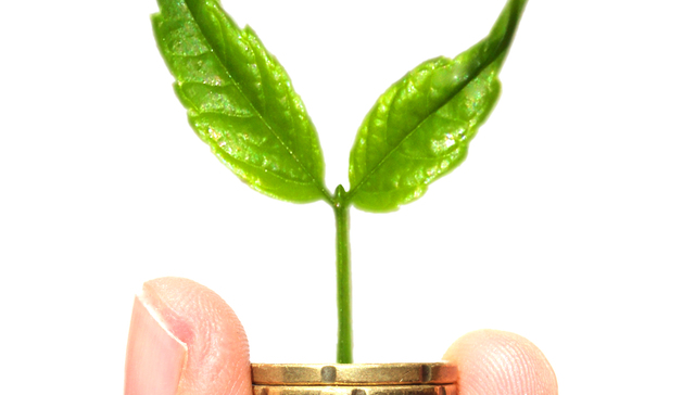 中国的财富正在流向这五个地区