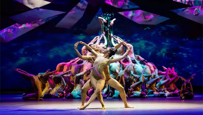 民族舞剧,谢江波,民族特性,花界人间,民族观