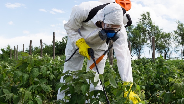 “最严”食品安全改革意见出台，食用农产品将全面禁用高毒农药