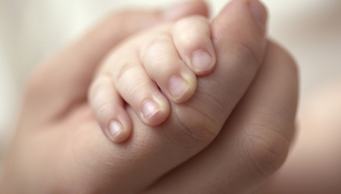 上海市新收犯监狱,服刑者,忏悔,公开日