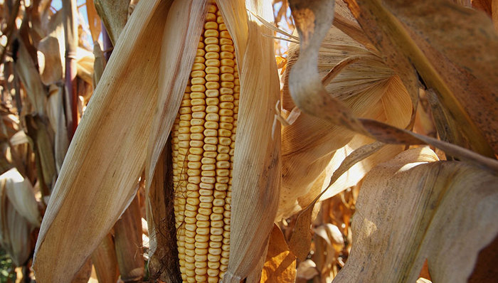 财经速递,关税,贸易保护