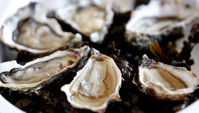 吃完生蚝，剩下的壳还有什么用？