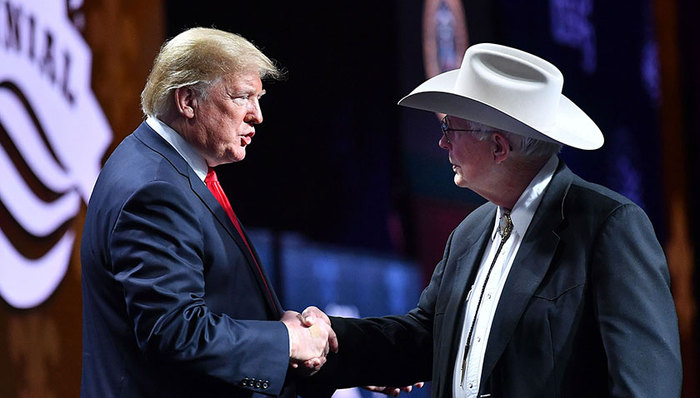 关税,农业,补贴