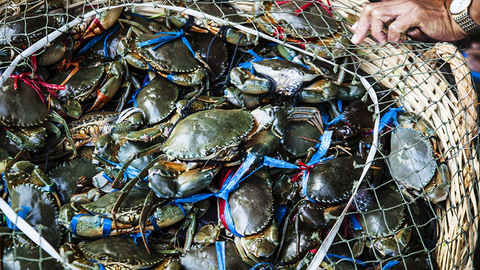 【深度】一年卖出3亿海鲜：直播小镇与它背后的“卖水人”