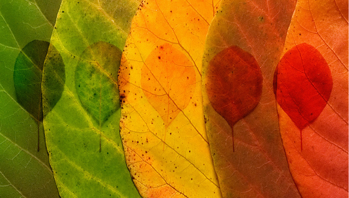 工业互联网,管理变革,通用电气,海尔