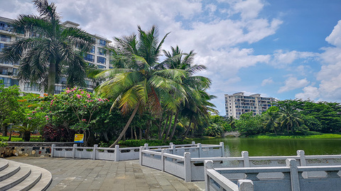 【调查】海南高院副院长张家慧落马：家族财产被举报超200亿