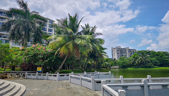 【调查】海南高院副院长张家慧落马：家族财产被举报超200亿