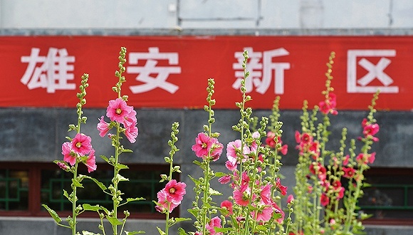 雄安新区，房地产开发，户口迁入