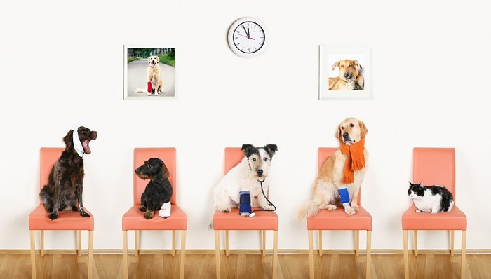 佩蒂股份,下跌,业绩