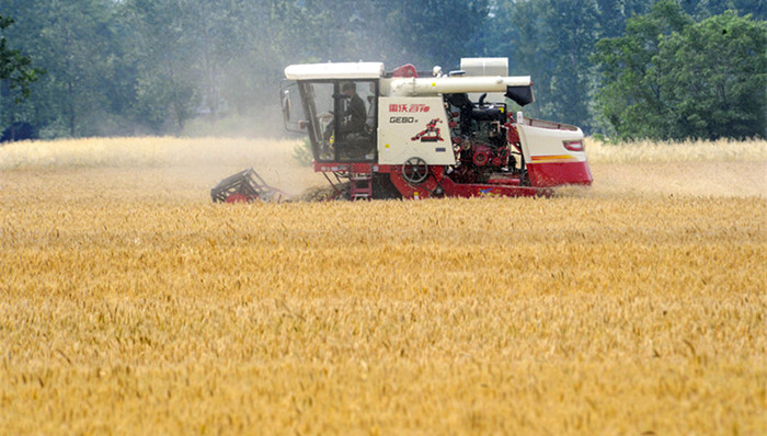 小麦,快递,保险业,社会应急力量,空气质量