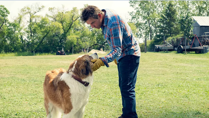 影业,阿里,新人,支付宝,精准营销,业绩报告,财年,锦橙,流浪地球,绿皮书