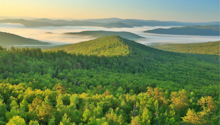 数读2018中国生态环境状况公报