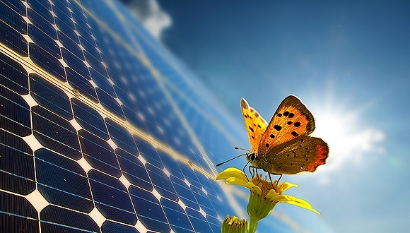 保利协鑫，中环