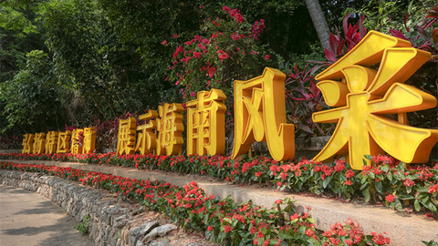 海南省人大法制委负责人就热点问题答记者问：坚决不搞黄赌毒