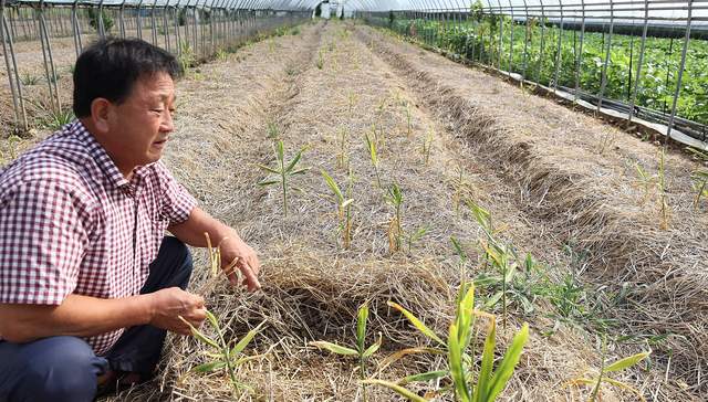 韩国去年逾9成新增职位是农民，其中过半人无薪水
