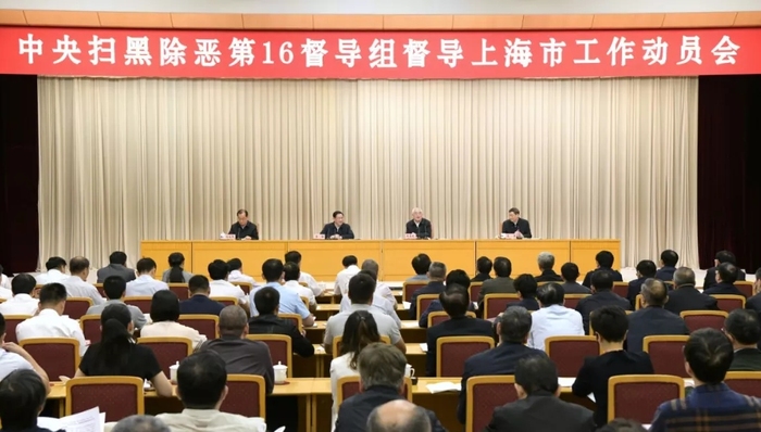 扫黑,除恶,督导组,中央政法委,督导工作,工作方法,专项斗争,黑恶势力,12337,党中央