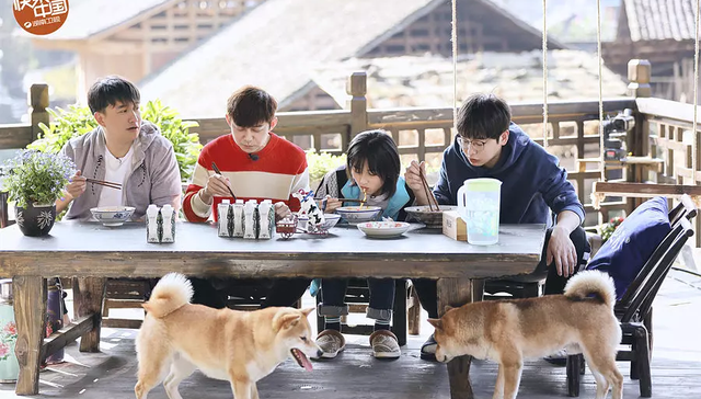 湖南卫视,江苏卫视,爆款,东方卫视,跨界,王牌对王牌,极限挑战,2019年,我家那闺女,上新了故宫