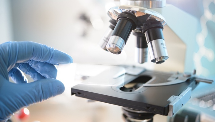 实验室安全,意见,高校实验室,能力培训,安全形势,安全风险,安全事故,安全工作,安全管理,能力建设