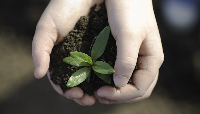 最高法,生态环境,生态赔偿