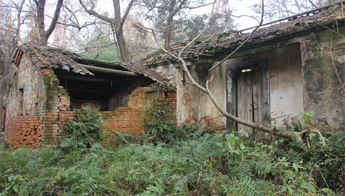 直通部委｜农业农村部：鼓励“空心村”人口向中心村转移 教育部：要求各地进一步加强高考服务保障